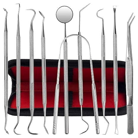 Dental Kit Tools, 10 Pack Stainless steel
